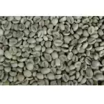 Coffee bean - Vietnam robusta coffee bean